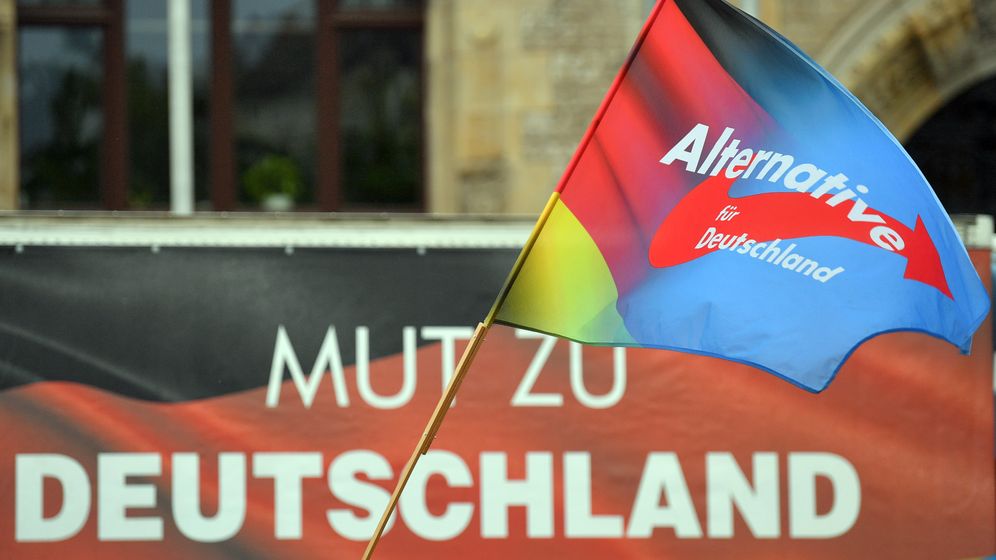 Fahne und Slogan der AfD | Bild:pa/dpa/Hendrik Schmidt
