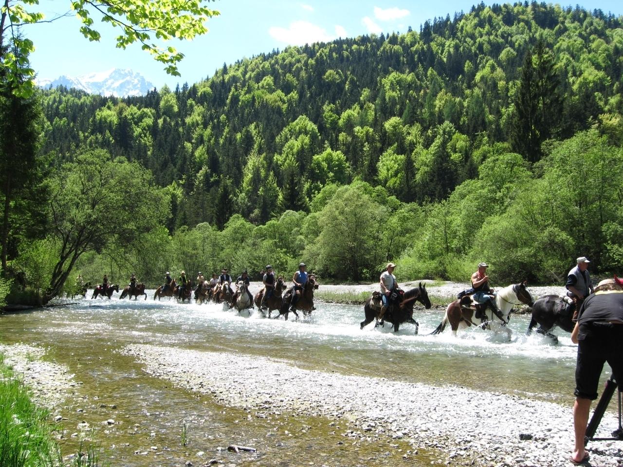 Alpenüberquerung Mit Pferd 2020