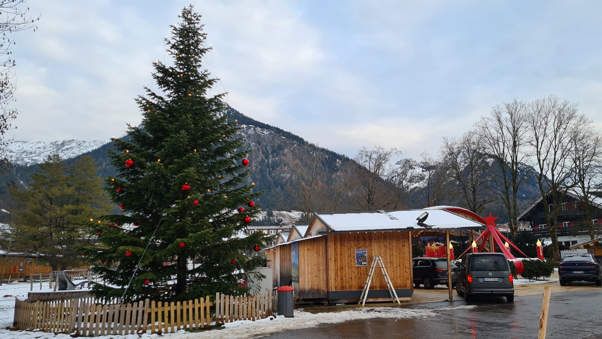 Im Kurpark steht die Tanne, die als nachhaltiger Christbaum gepflanzt wurde.