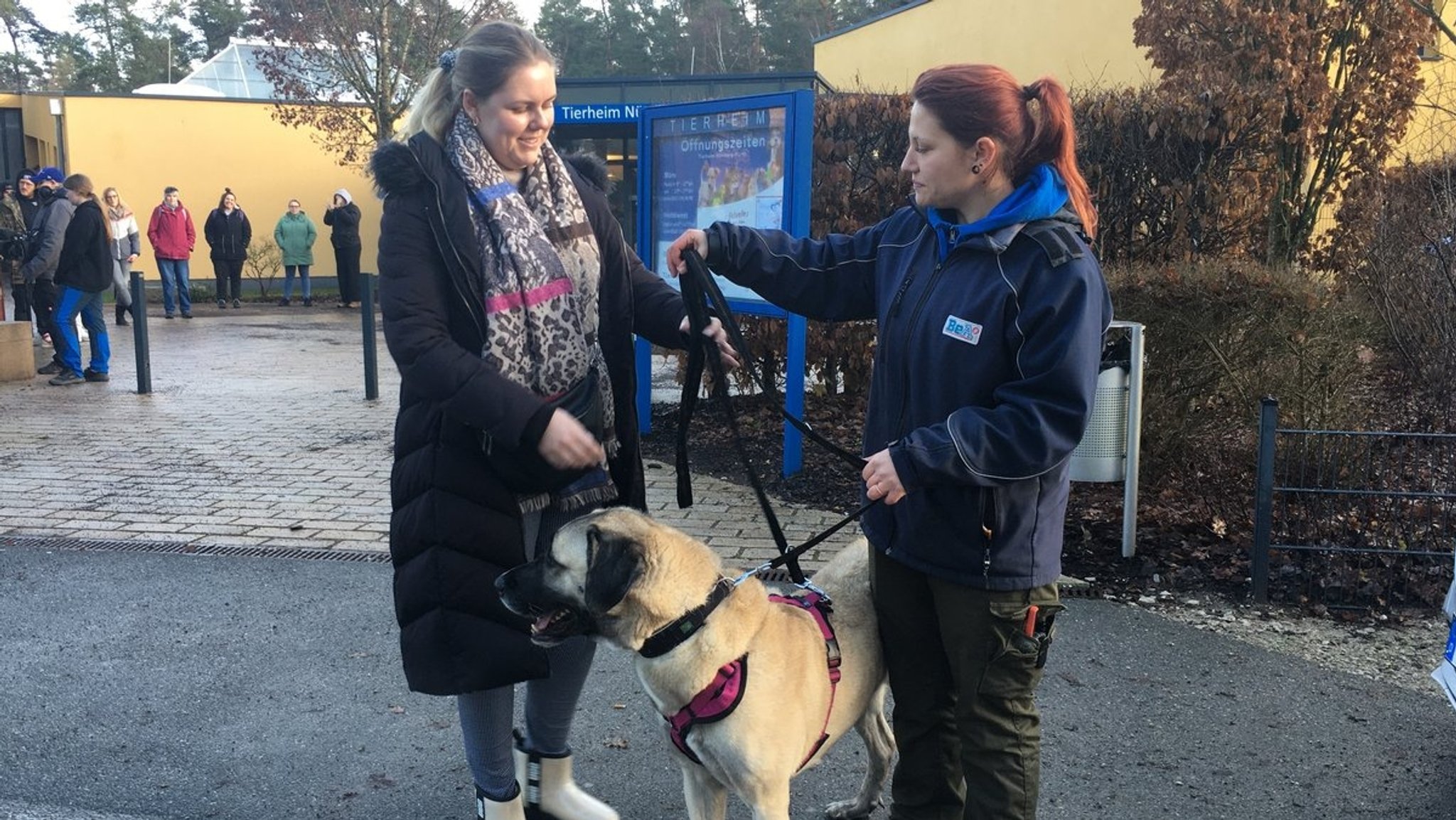 Zwei Frauen stehen mit einem Hund vor einem Tierheim.