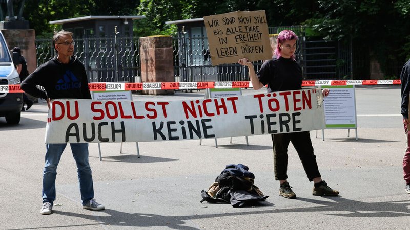 29.07.2025, Nürnberg: Animal Rebellion und vereinzelte Demonstranten anderer Gruppierungen stehen mit Protestschildern "Du Sollst nicht töten auch keine Tiere" und "Wir sind nicht still, bis alle Tiere in Freiheit leben" vor dem Tiergarten Nürnberg. | Bild: dpa-Bildfunk/Daniel Löb 29.07.2025, Nürnberg: Animal Rebellion und vereinzelte Demonstranten anderer Gruppierungen stehen mit Protestschildern "Du Sollst nicht töten auch keine Tiere" und "Wir sind nicht still, bis alle Tiere in Freiheit leben" vor dem Tiergarten Nürnberg.