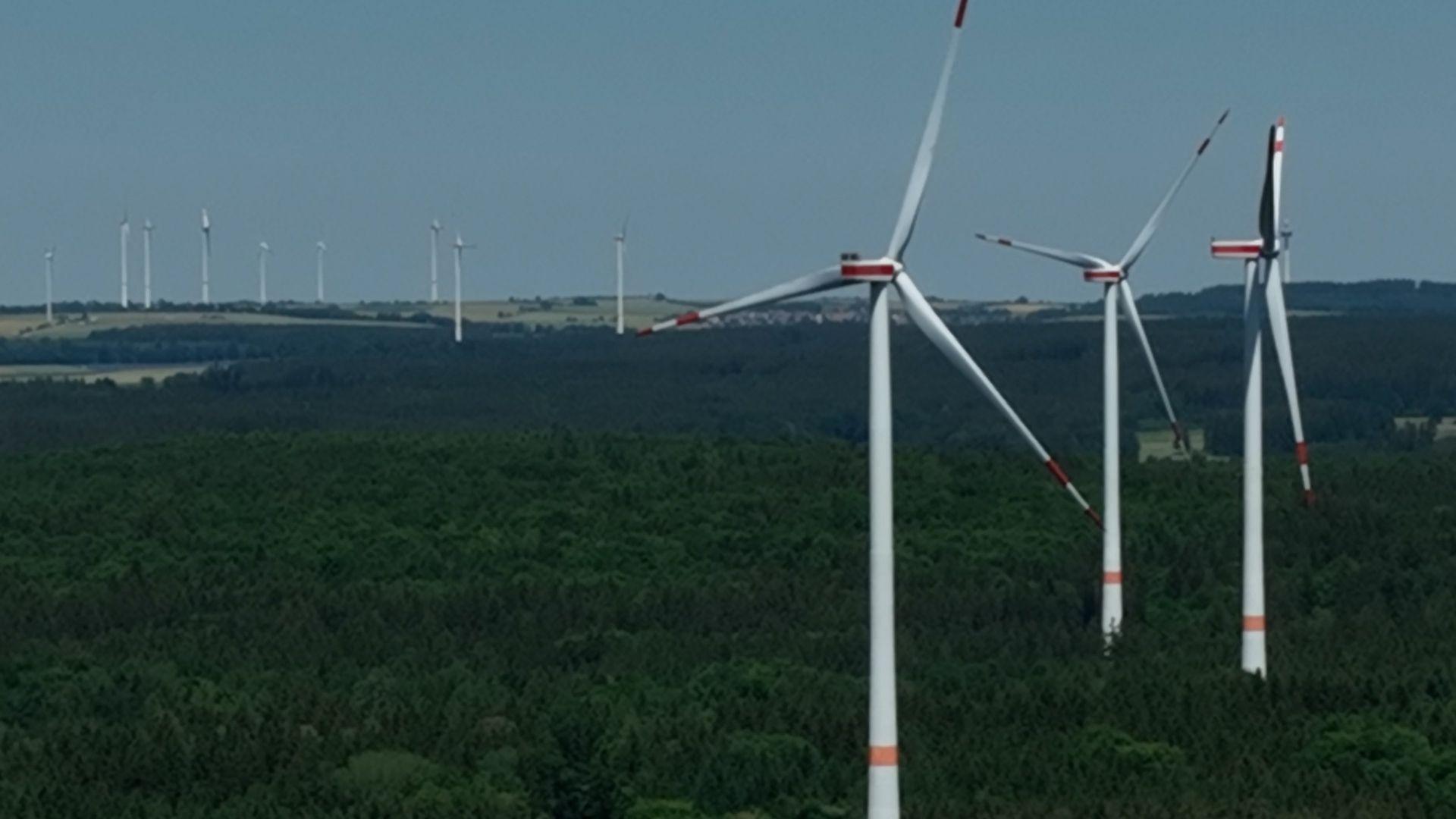 Windräder ragen aus einem Wald empor.