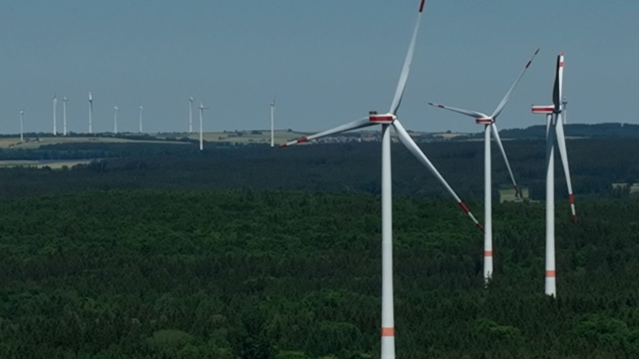 Windräder ragen aus einem Wald empor.