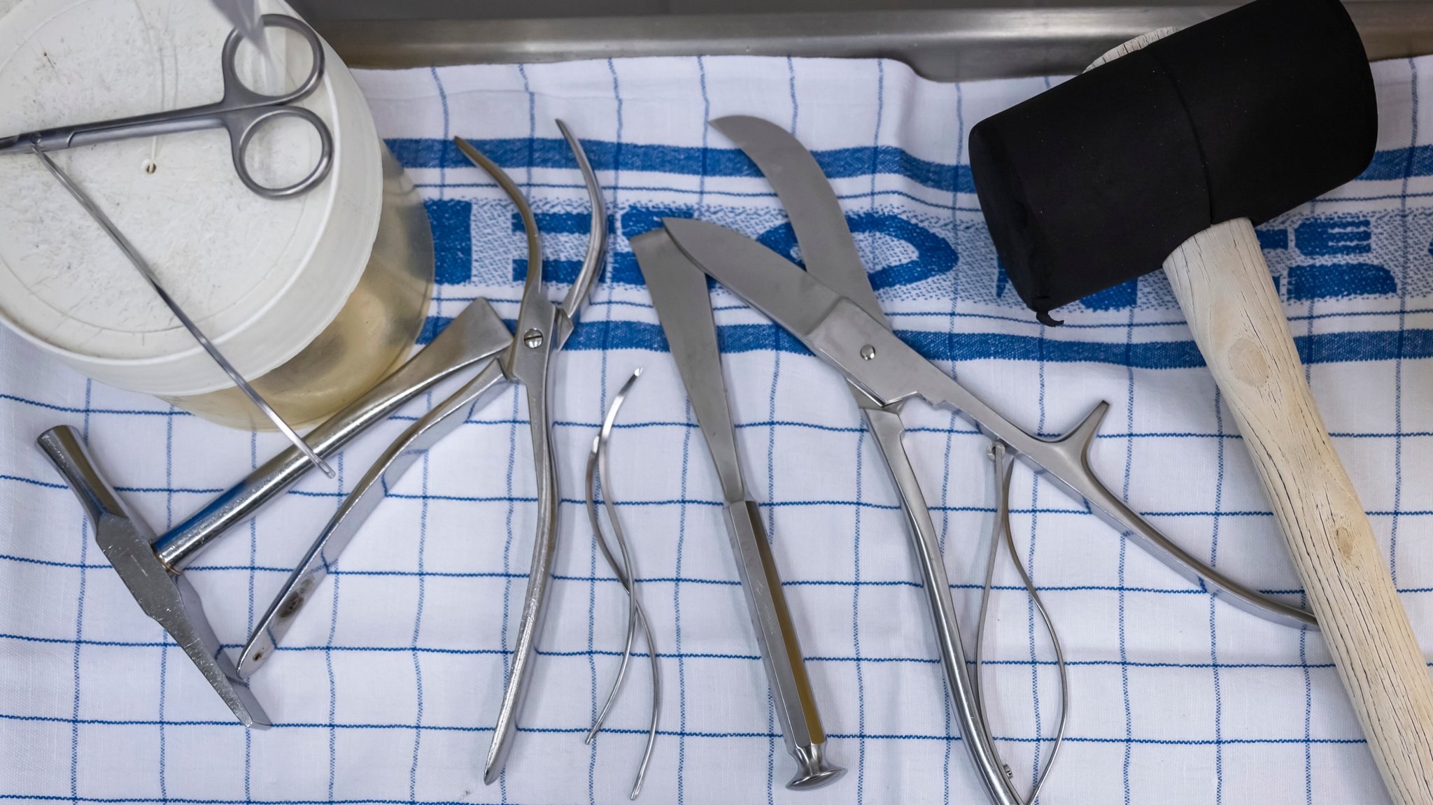 Werkzeuge im Autopsiesaal 