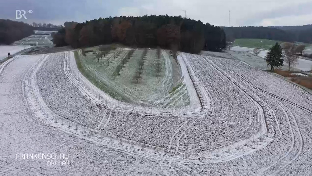 Neu bepflanztes Land. | Bild: BR Neu bepflanztes Land.