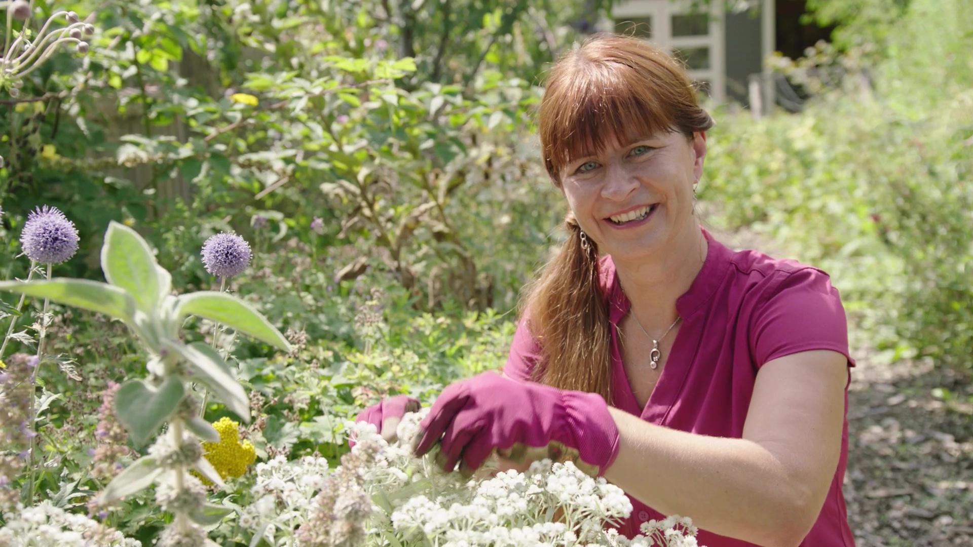 Top 5 der schneckenresistenten Stauden - Tipps von Sabrina
