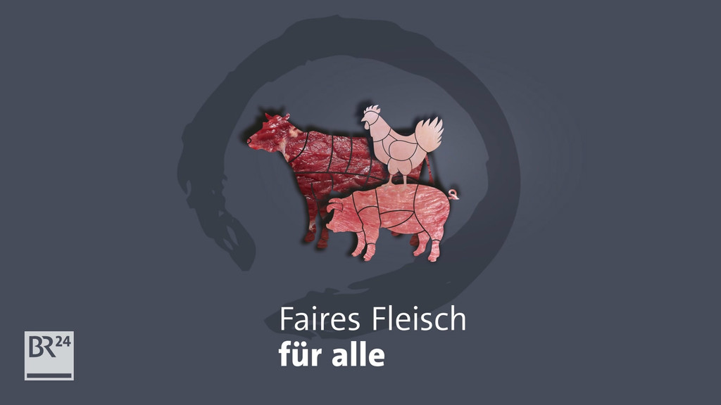 Die Kosten des Fleischkonsums | Bild: BR24 Die Kosten des Fleischkonsums