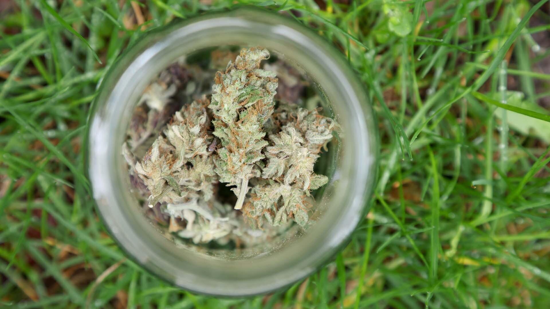 Cannabis (Symbolbild)