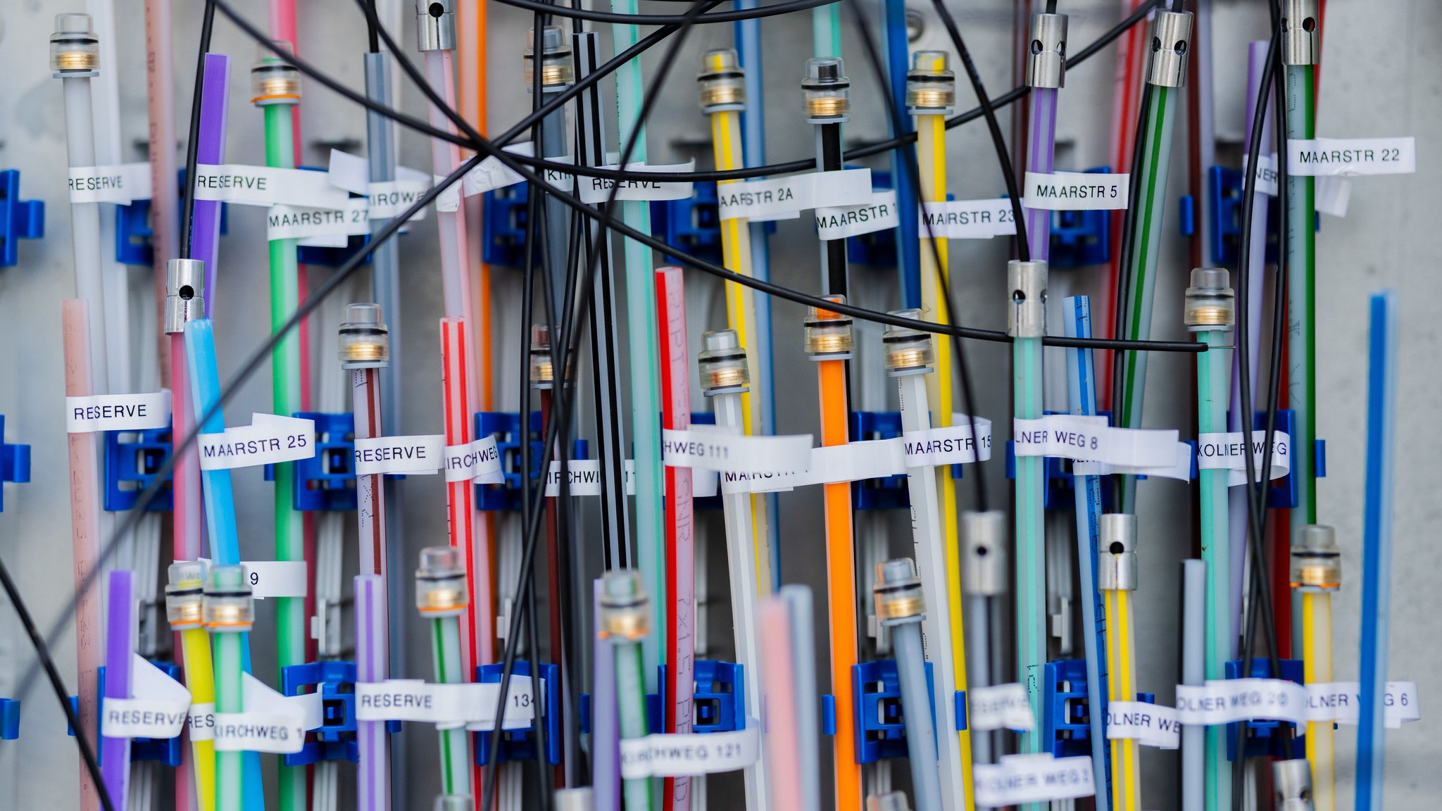 Viele wollen kein Glasfaser, auch wenn es schon da wäre. Das kann zum Problem in der Zukunft werden. | Bild: dpa/Rolf Vennenbernd Viele wollen kein Glasfaser, auch wenn es schon da wäre. Das kann zum Problem in der Zukunft werden.