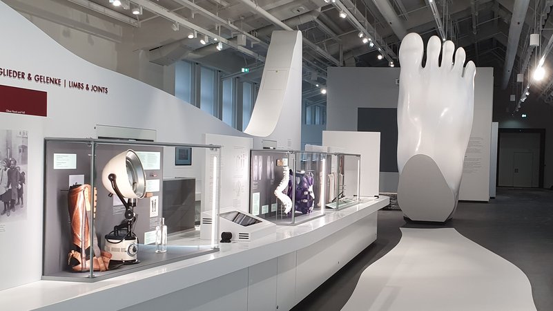 Blick in die neue Gesundheitsausstellung im Deutschen Museum, links Schaukästen, im Hintergrund ein übermannsgroßer rechter Fuß aus weißem Kunststoff.
