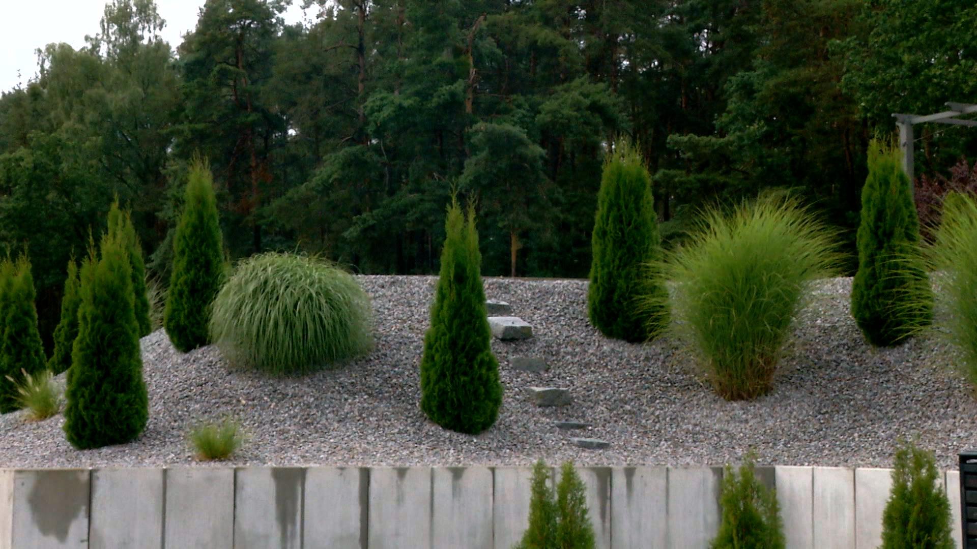 Schottergarten mit Grünpflanzen