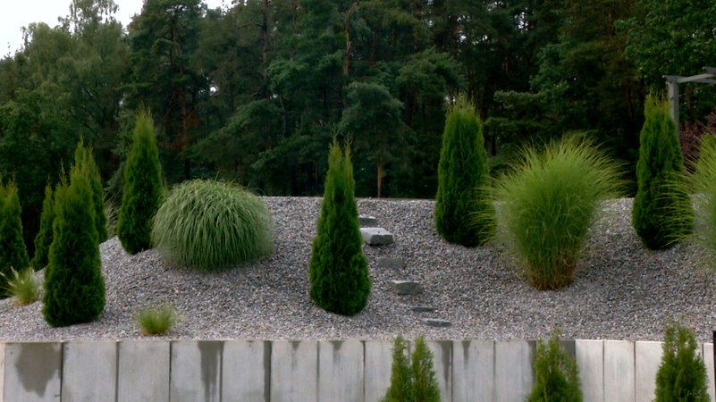 Schottergarten mit Grünpflanzen | Bild: BR Schottergarten mit Grünpflanzen