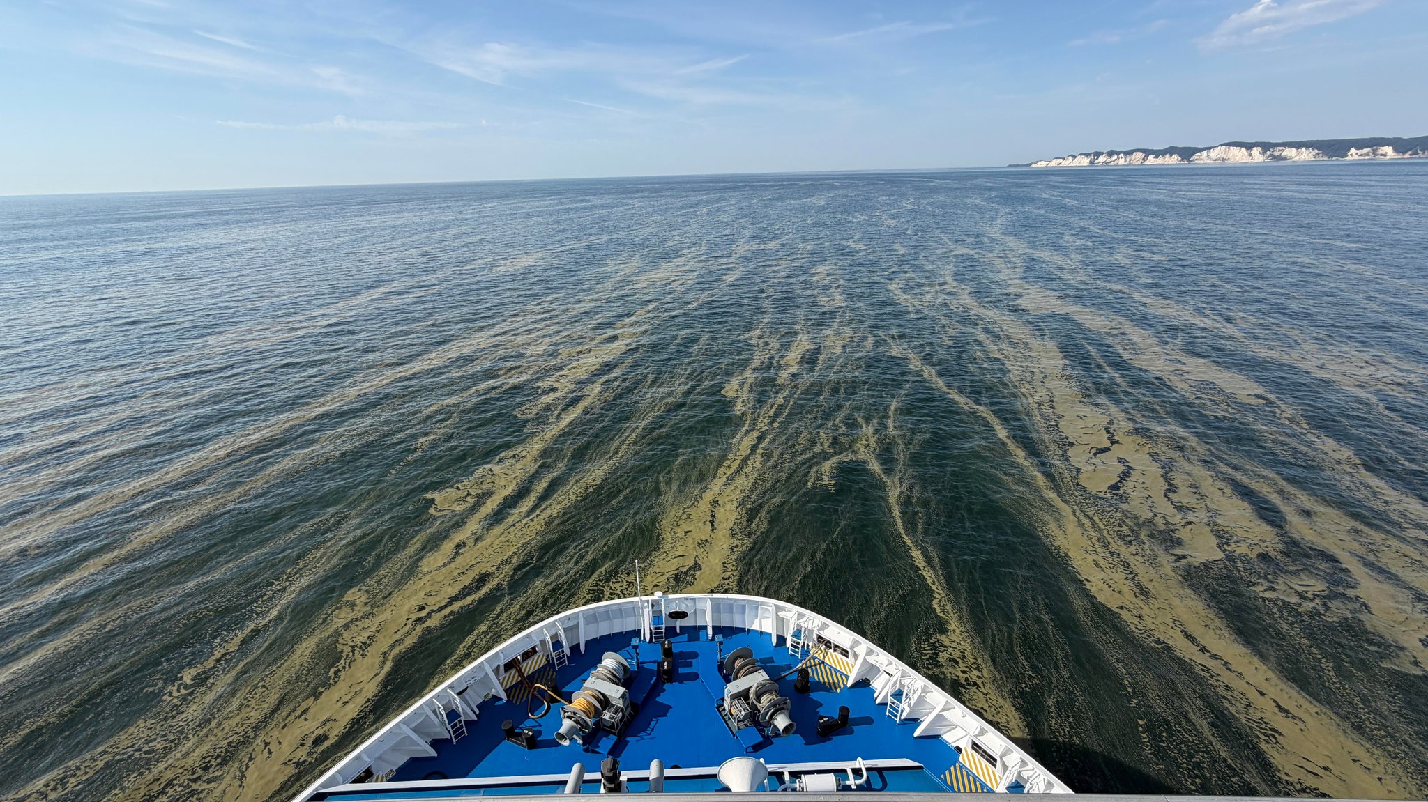 Blaualgen in der Ostsee vor Rostock.