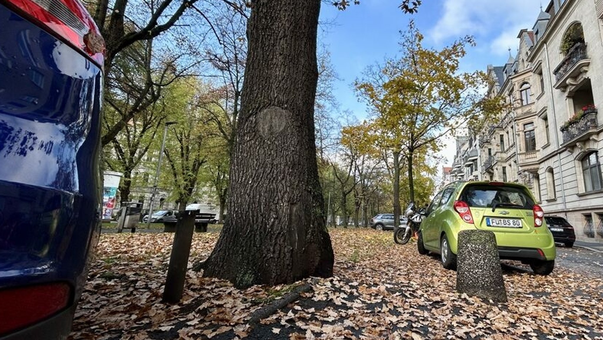 Parkende Autos stehen nahe an einem Baum in der Hornschuchpromenade