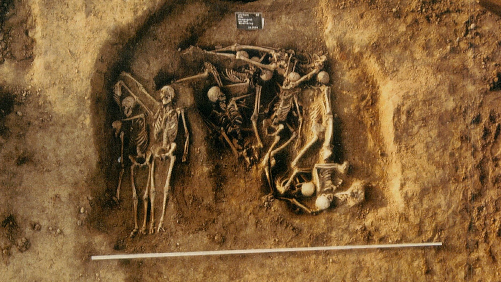 In Leipheim befindet sich das bis dato einzige Grab mit Skeletten aus dem Bauernkrieg vor 500 Jahren.