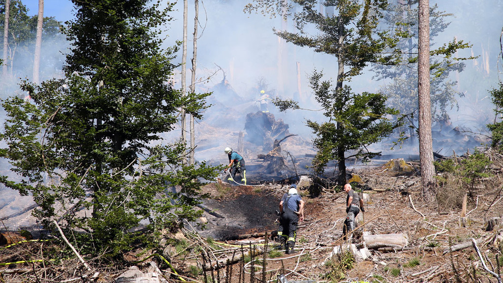 Waldbrand in Mespelbrunn