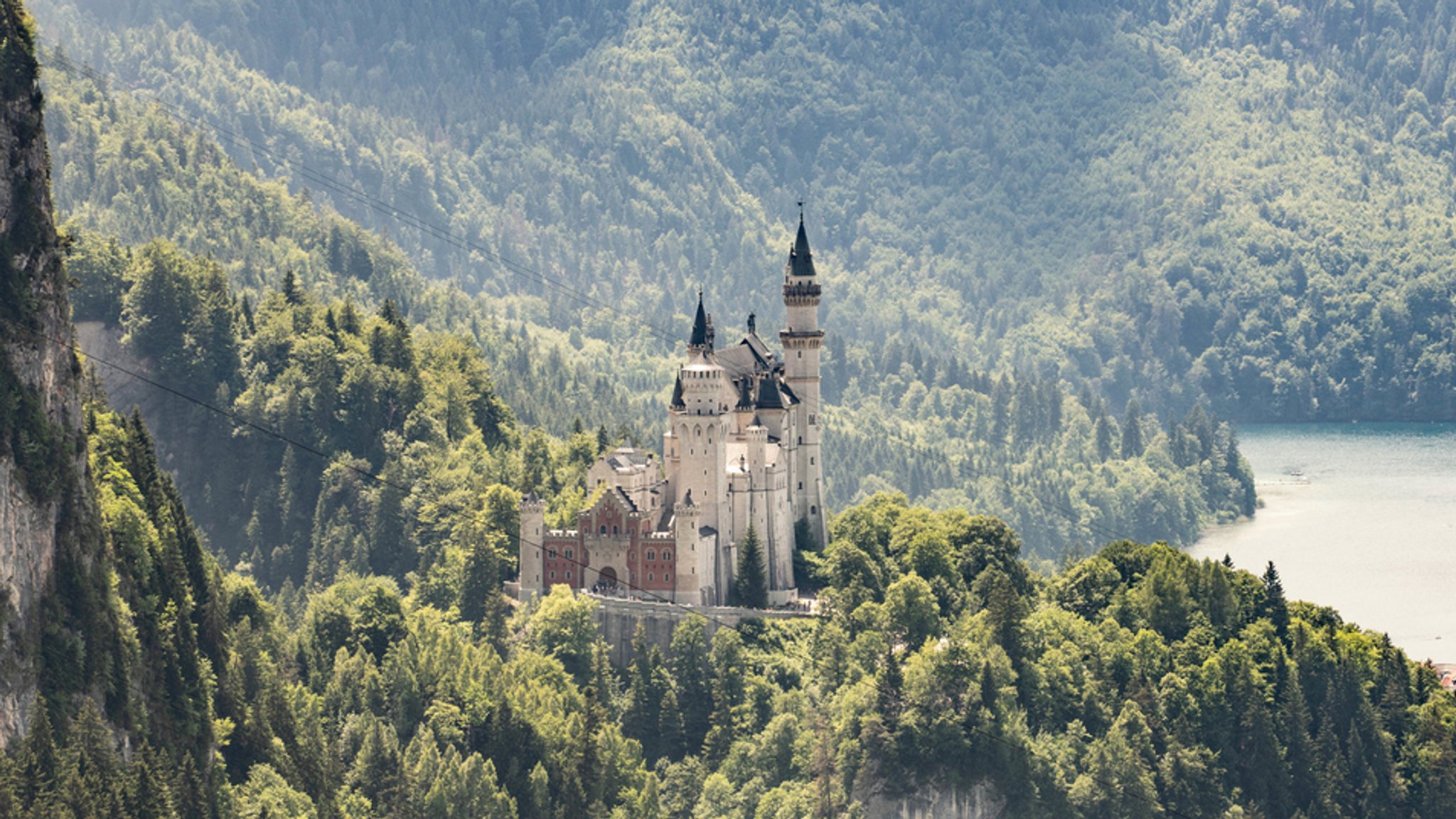 Touristin sperrt Hund in Schließfach und besucht Neuschwanstein