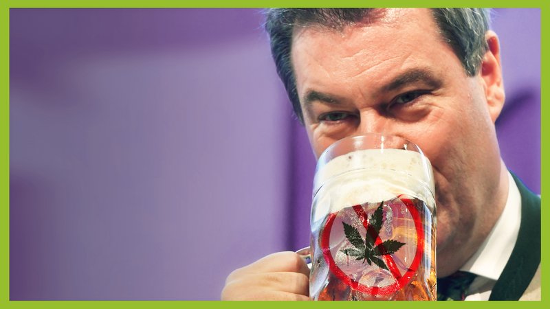 Ein Mann trinkt aus einem Maßkrug Bier, es ist der bayerische Ministerpräsident. Auf dem Krug ist ein Emblem montiert: Es zeigt ein durchgestrichenes Hanfblatt.