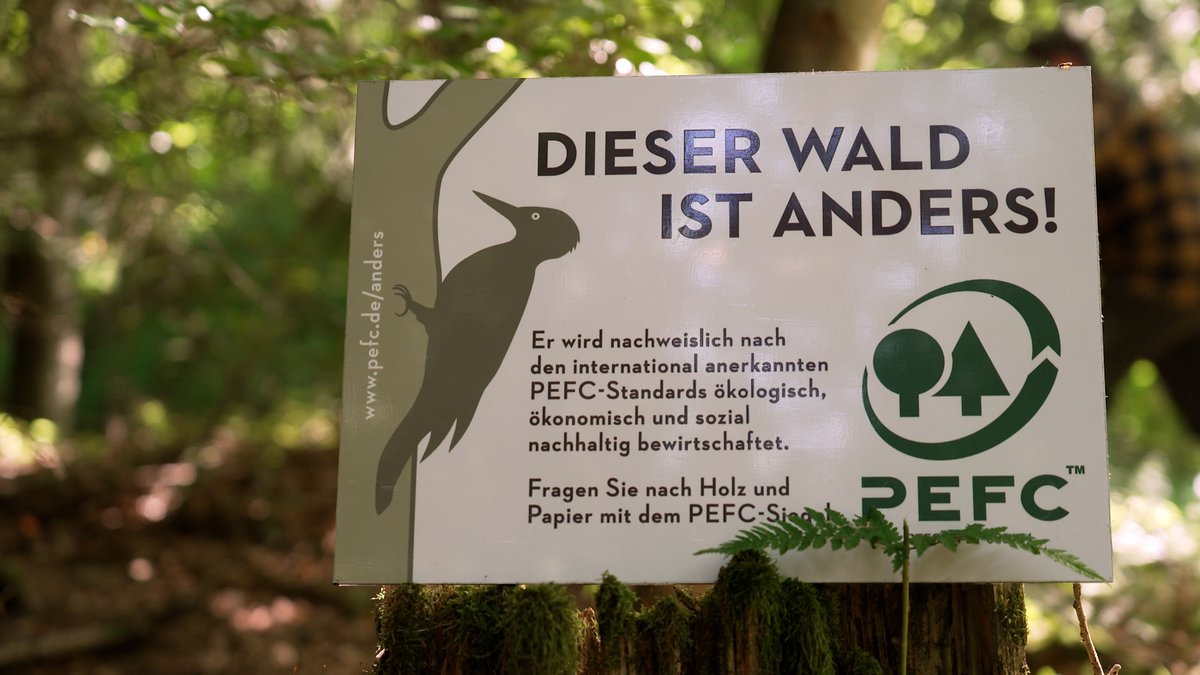 PEFC-Siegel: Garantie für nachhaltige Waldbewirtschaftung?