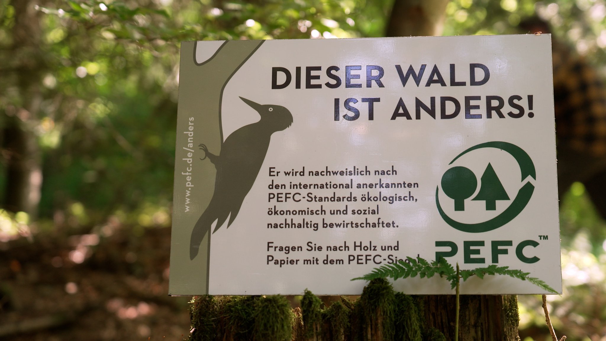 Schild "Dieser Wald ist anders" | Bild: BR Schild "Dieser Wald ist anders"