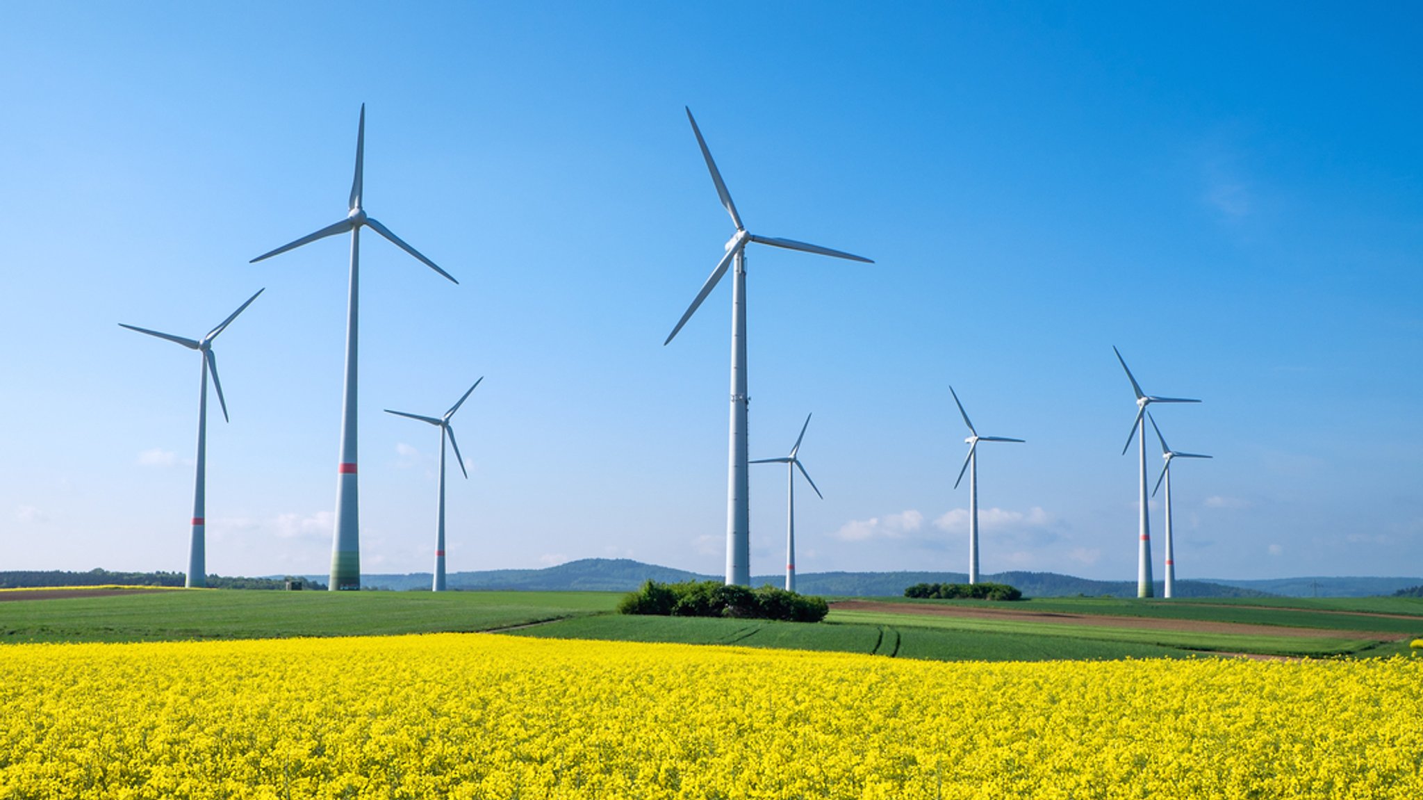 Windkrafträder hinter einem gelben Rapsfeld vor blauem Himmel.