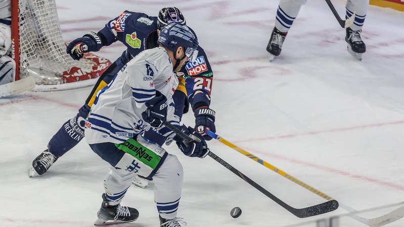 Eishockey: Straubing Tigers, Berlin | Bild: picture alliance/dpa | Andreas Gora Eishockey: Straubing Tigers, Berlin