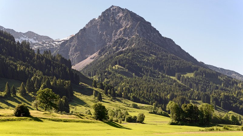 Im Vordergrund grüne Wiesen und Bäume, im Hintergrund das Rubihorn. | Bild: picture alliance / imageBROKER | Frederik Im Vordergrund grüne Wiesen und Bäume, im Hintergrund das Rubihorn.