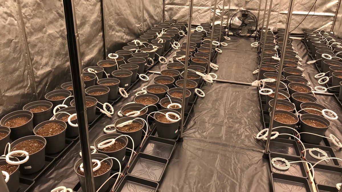 Bayerische Cannabisclubs kämpfen gegen Verordnungen