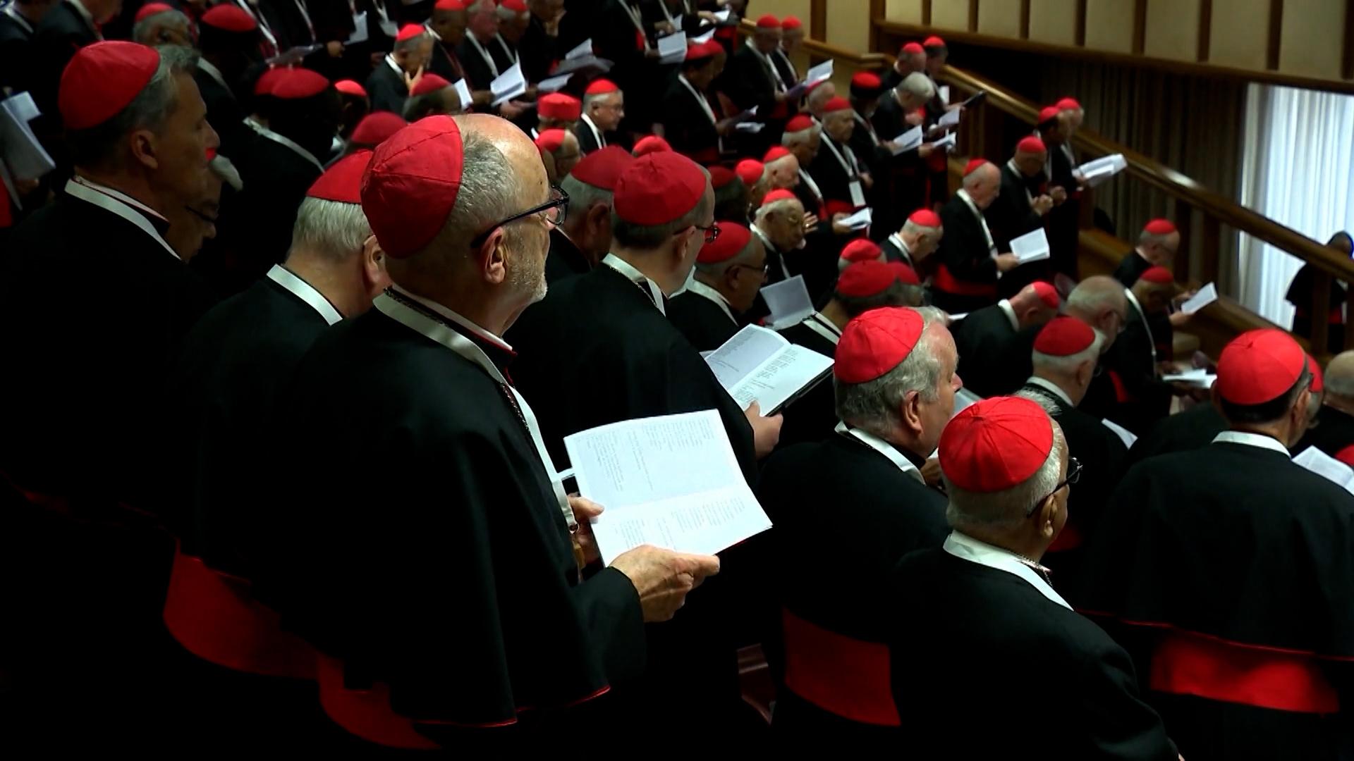 Die Wahl findet in einer geheimen und nicht öffentlichen Versammlung statt. Wahlberechtigt sind 135 Kardinäle.