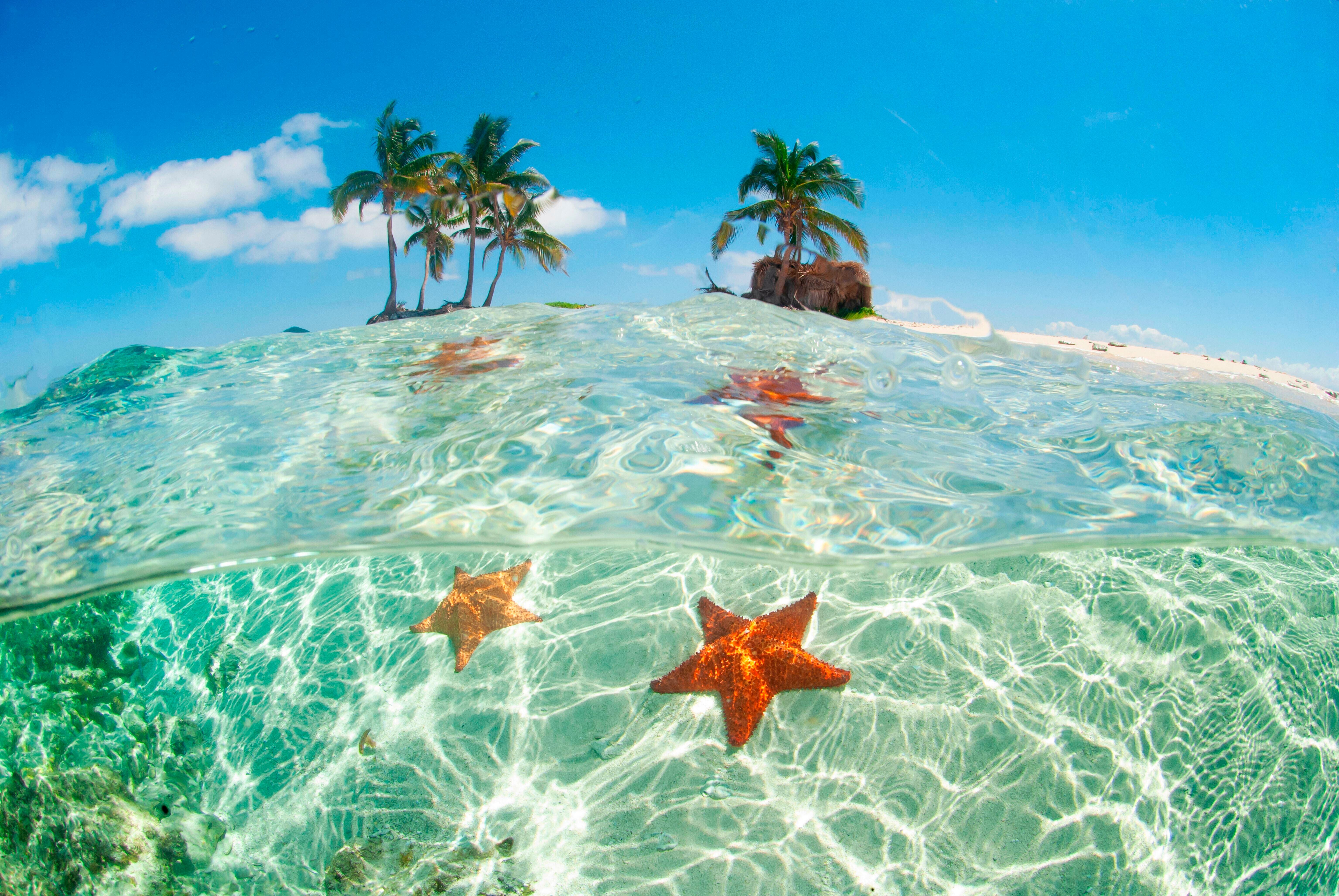 Seesterne, Palmen, Strand: Das Archipel Cayos Cochinos in Honduras | Bild:picture alliance / Visually | anbusiello TW