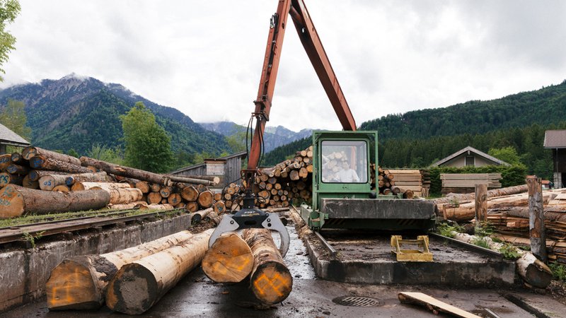 In einem Sägewerk wird Stammholz verarbeitet. | Bild: BR/megaherz gmbh/zero one 24 film GmbH/Gregor Schmidt In einem Sägewerk wird Stammholz verarbeitet.