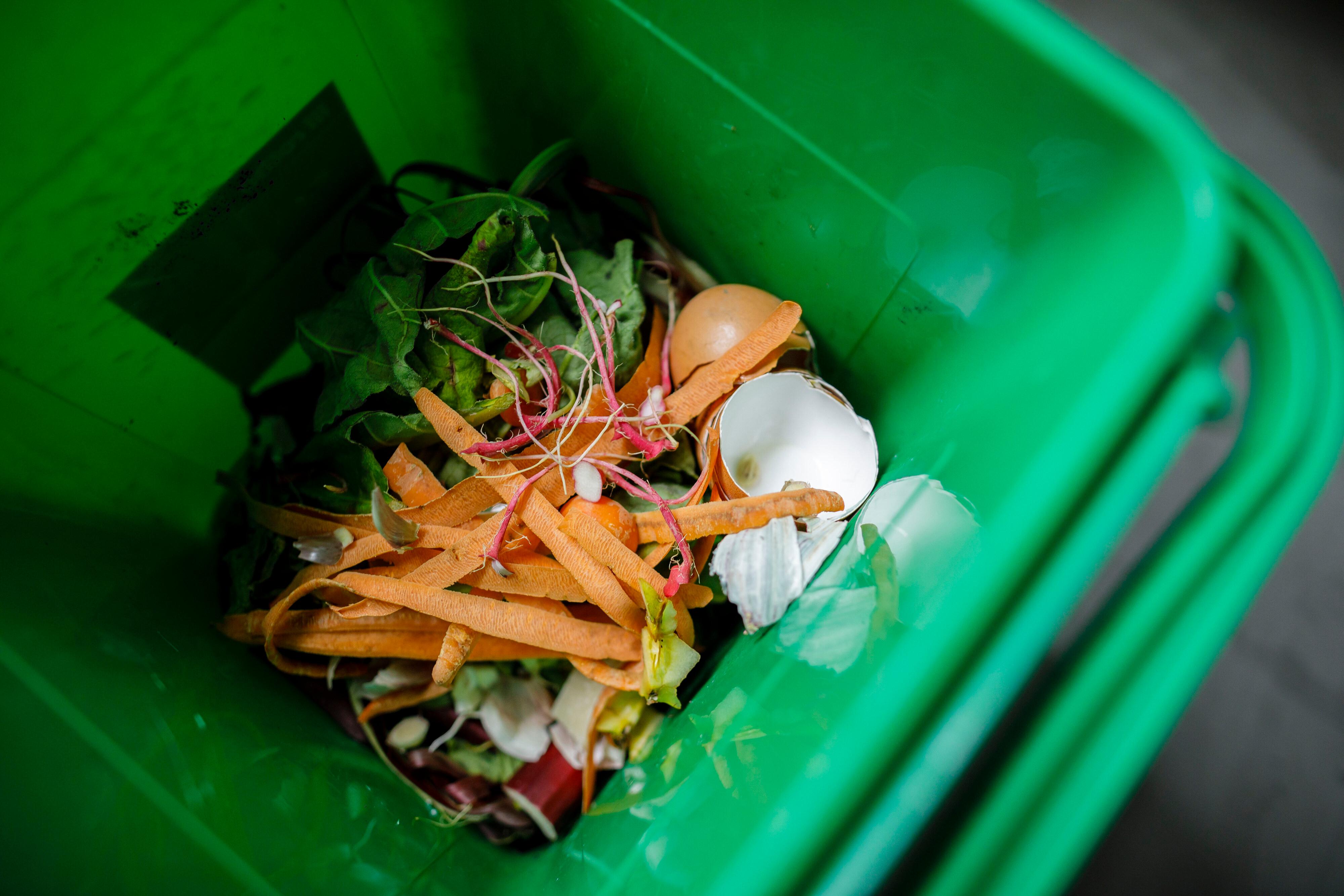 Blick in eine Biomülltonne (Archiv- und Symbolbild)