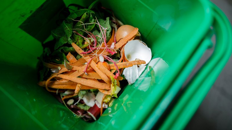 Blick in eine Biomülltonne (Archiv- und Symbolbild) | Bild: picture alliance / photothek|Thomas Trutschel Blick in eine Biomülltonne (Archiv- und Symbolbild)
