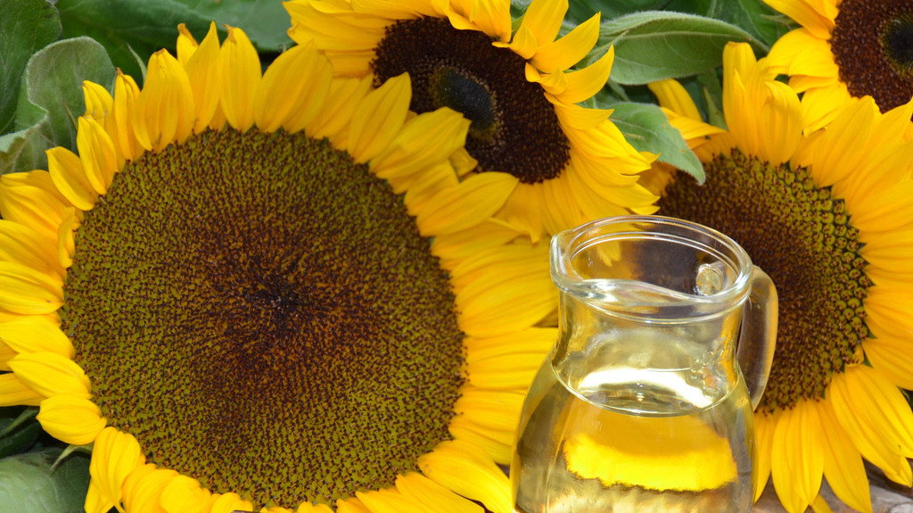Sonnenblumenöl (Symbolbild)