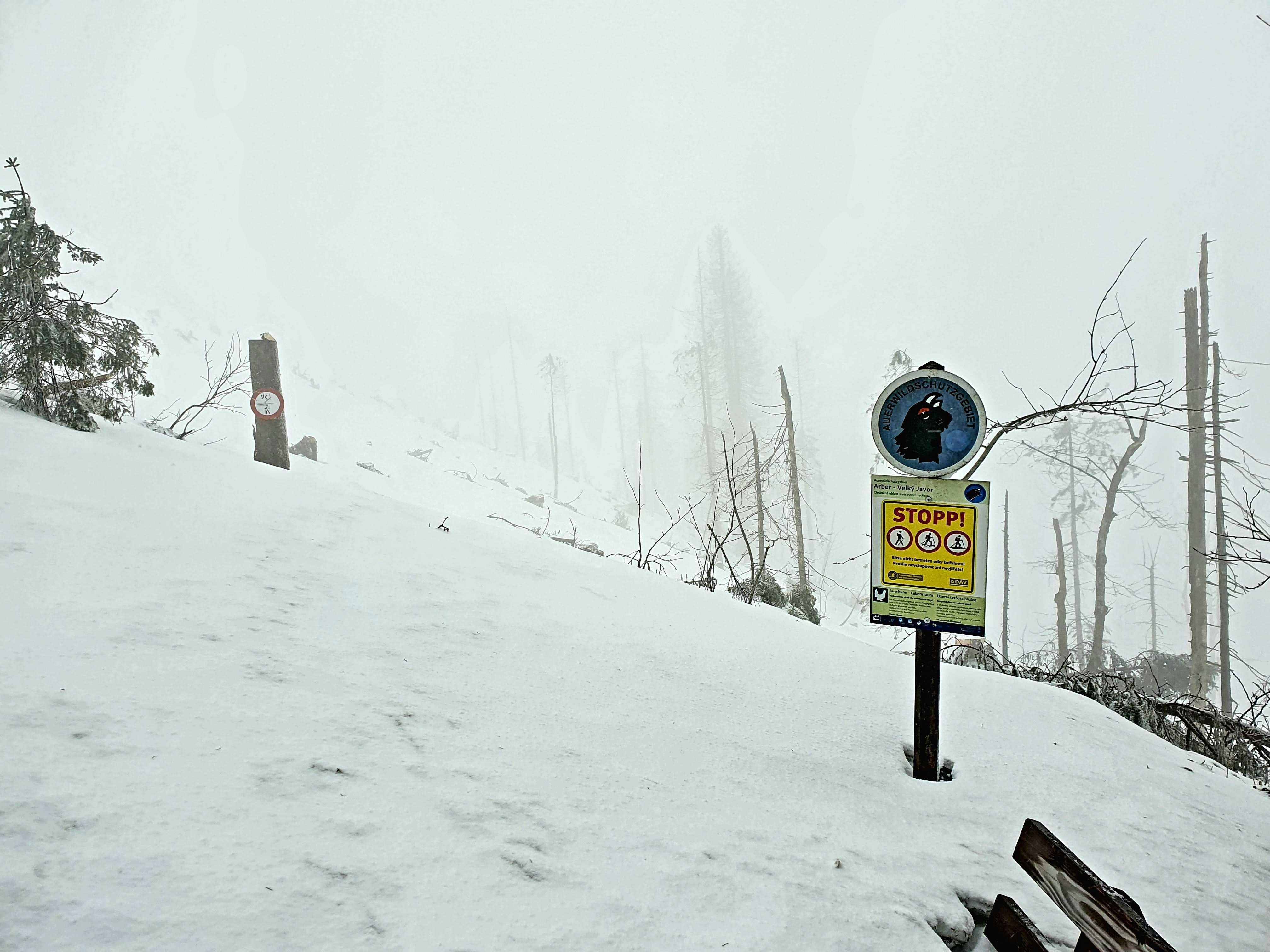Hinweisschilder weisen Skitouren- oder Schneeschuhgehern einen naturverträglichen Weg.