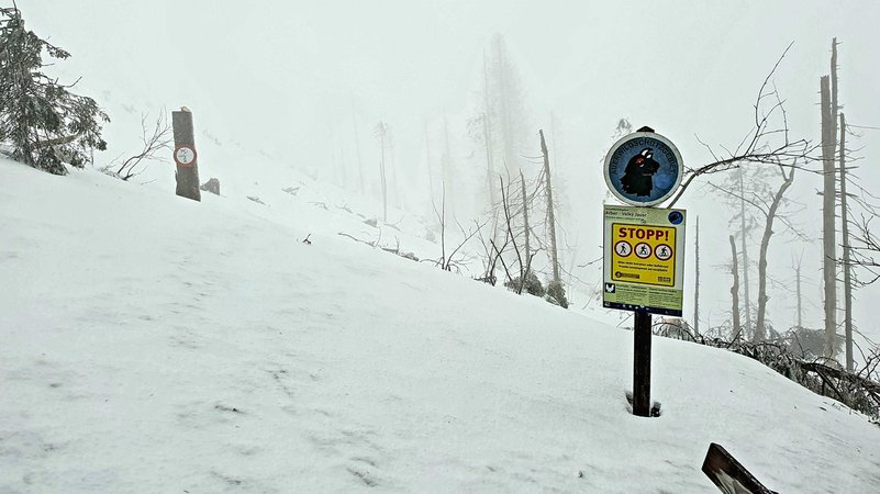 Hinweisschilder weisen Skitouren- oder Schneeschuhgehern einen naturverträglichen Weg.