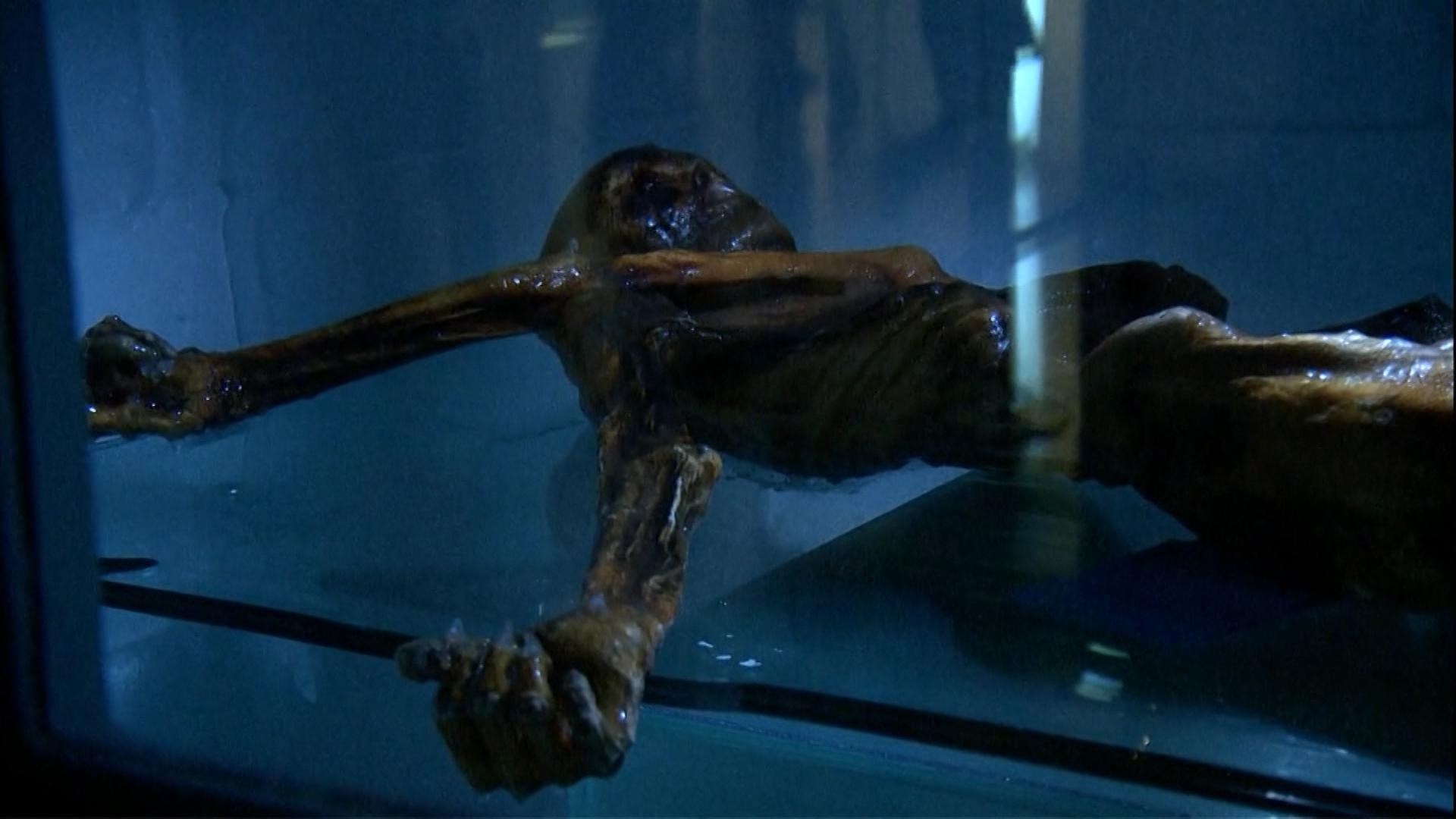 Gletschermumie Ötzi 