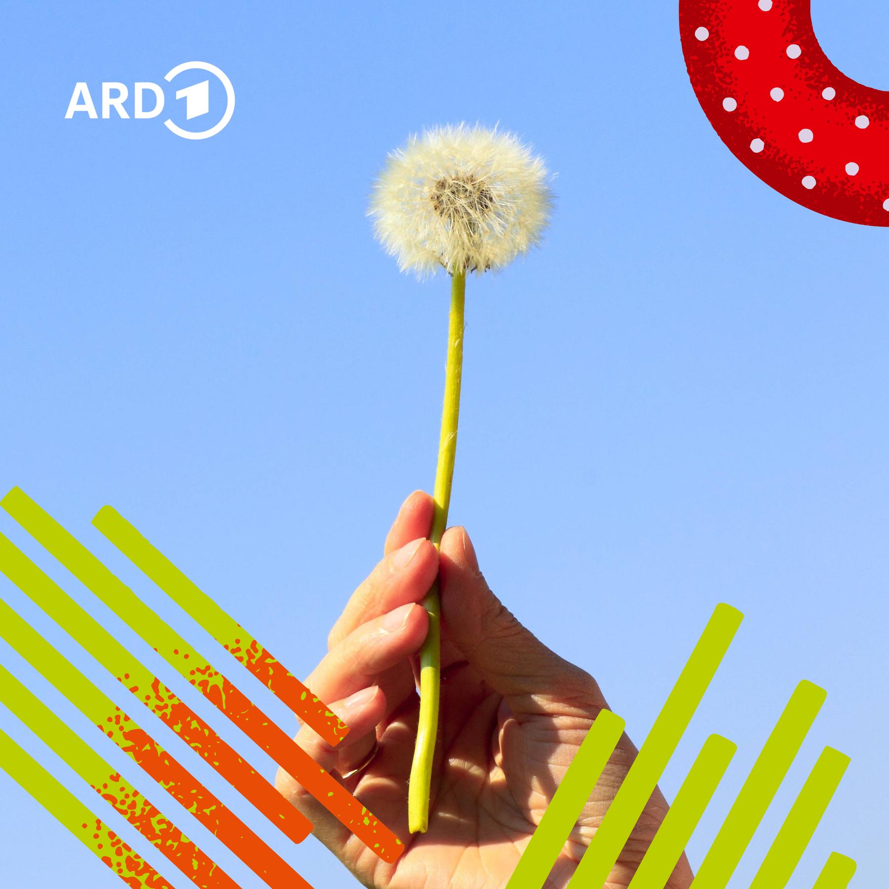 Gefühle wagen - Warum wir verletzbar bleiben sollten Gefühle wagen - Warum wir verletzbar bleiben sollten