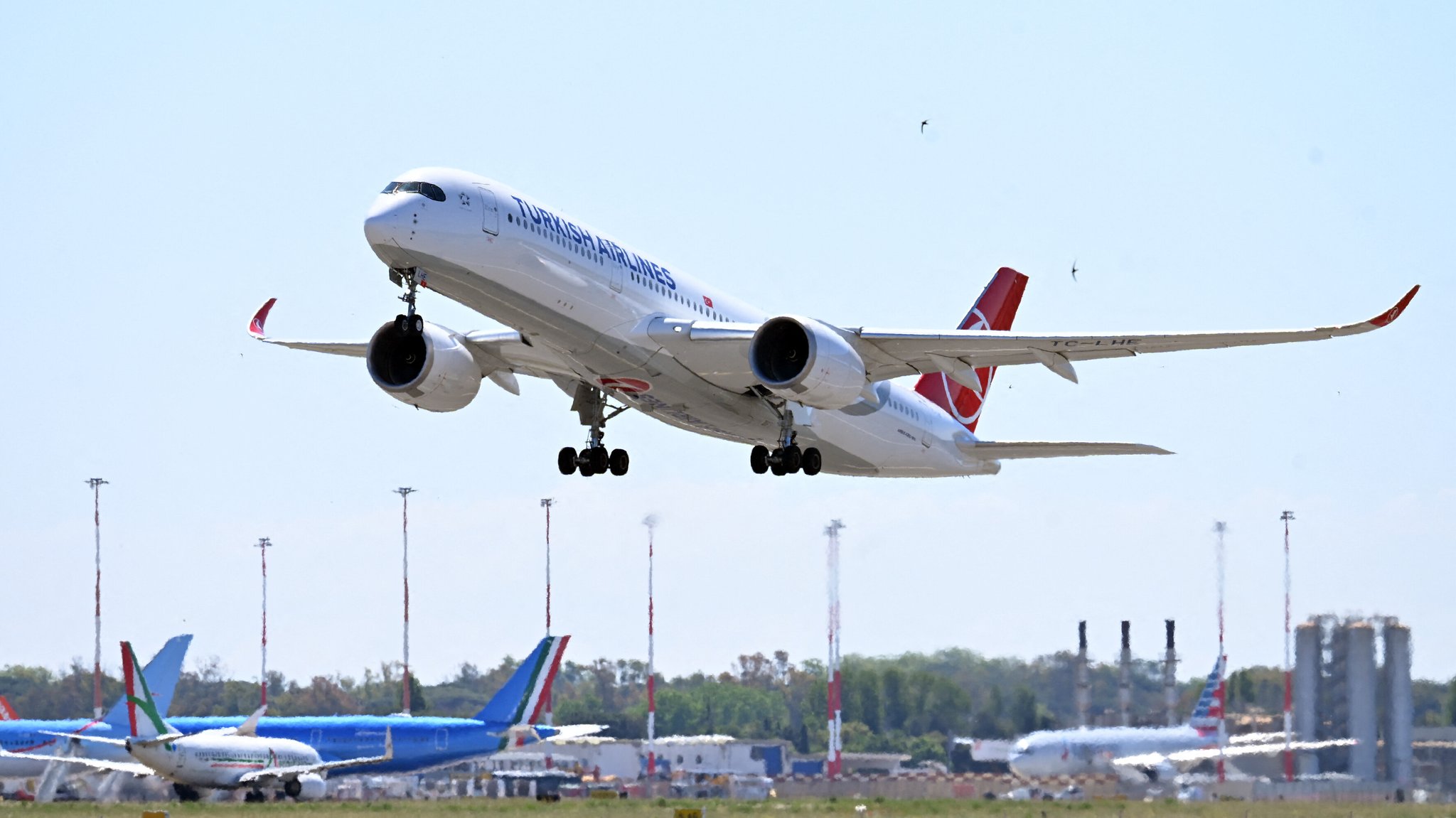 Ein Flugzeug der Turkish Airlines hebt ab