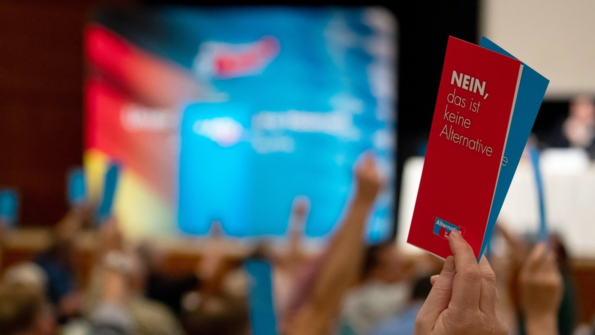AfD-Landesparteitag