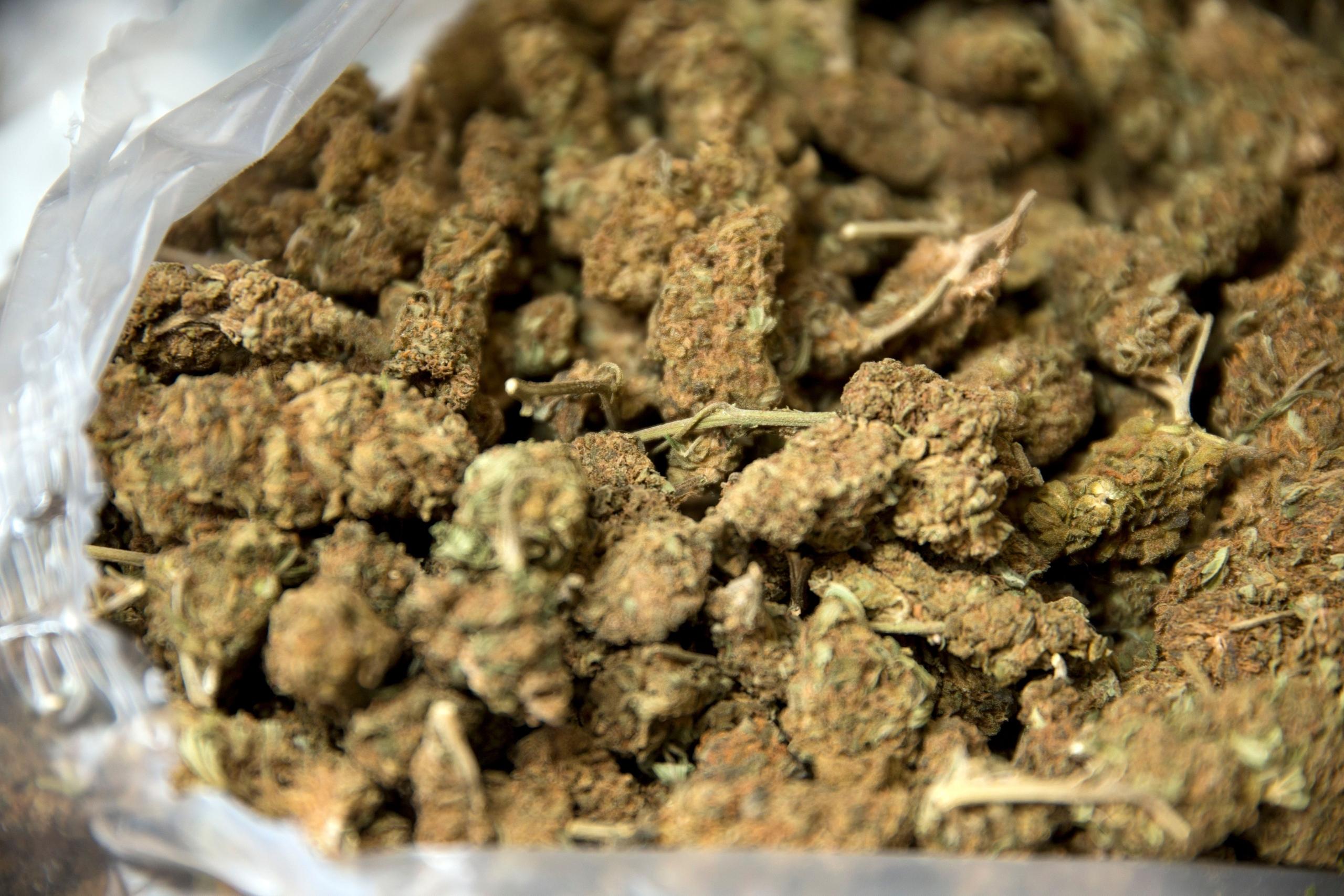 Drogenfund von 500 kg Marihuana im Jahr 2016 in Nürnberg. Eine bessere internationale Vernetzung im Kampf gegen den illegalen Drogenhandel – dieses Ziel haben Drogenfahnder aus mehr als 20 Ländern, die sich gerade in Fürth treffen. Sie befürchten große Probleme durch die Teil-Legalisierung von Cannabis in Deutschland.