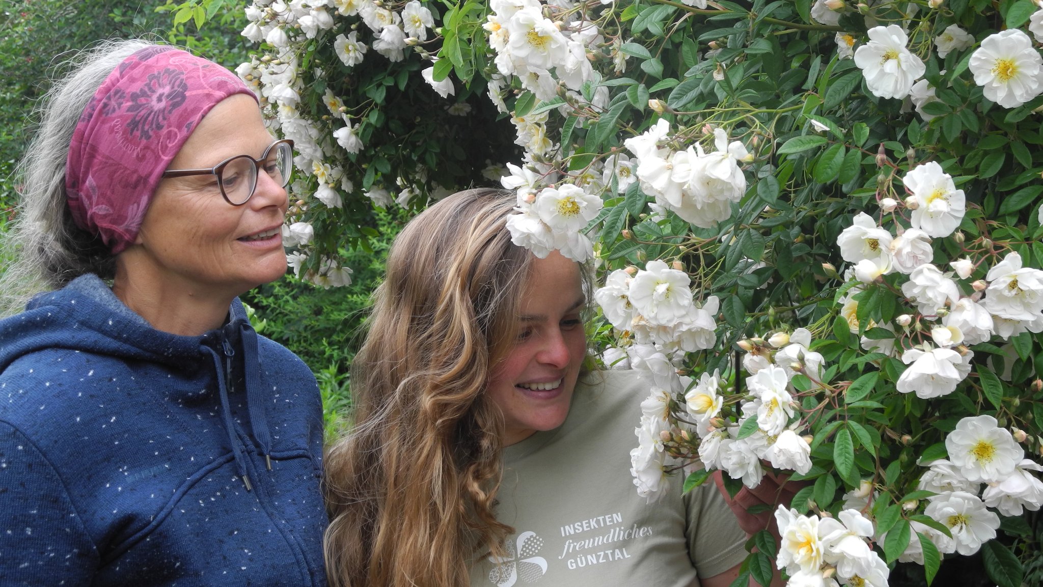 Zwei Frauen stehen an einer Rose mit unzähligen überhängenden weißen Blüten