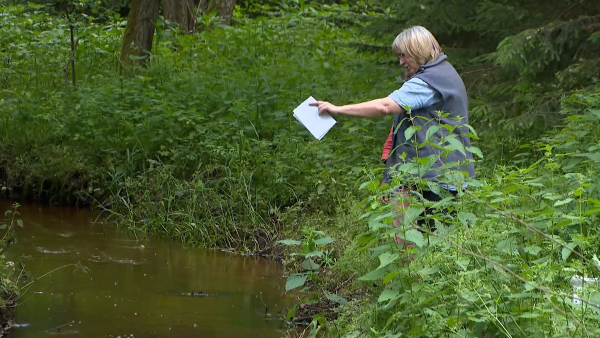 Streit um Grundwasserförderung im Naturschutzgebiet