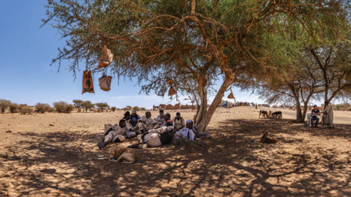 In einer Wüstenlandschaft lagern Männer unter einem Schatten spendenden Baum.  