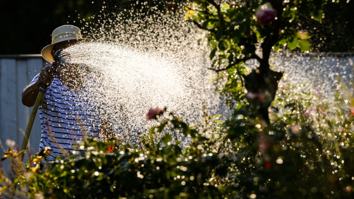 Eine Frau gießt mit Wasser aus einer Grundwasserpumpe ein Blumenbeet.