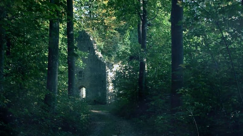 Unheimliche Ruine im Wald.