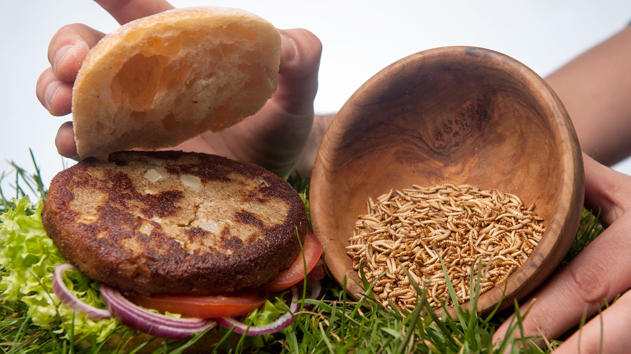 Zwei Studenten haben einen Insektenburger auf den Markt gebracht.