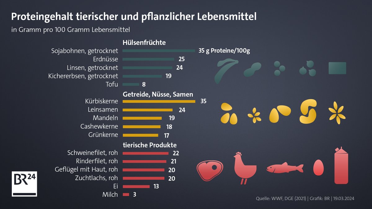Grafik zu dem Proteingehalt in verschiedenen Lebensmitteln