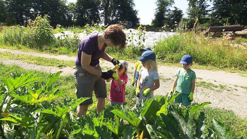 Eines der sozialen Projekte: ein Bauernhof-Kindergarten