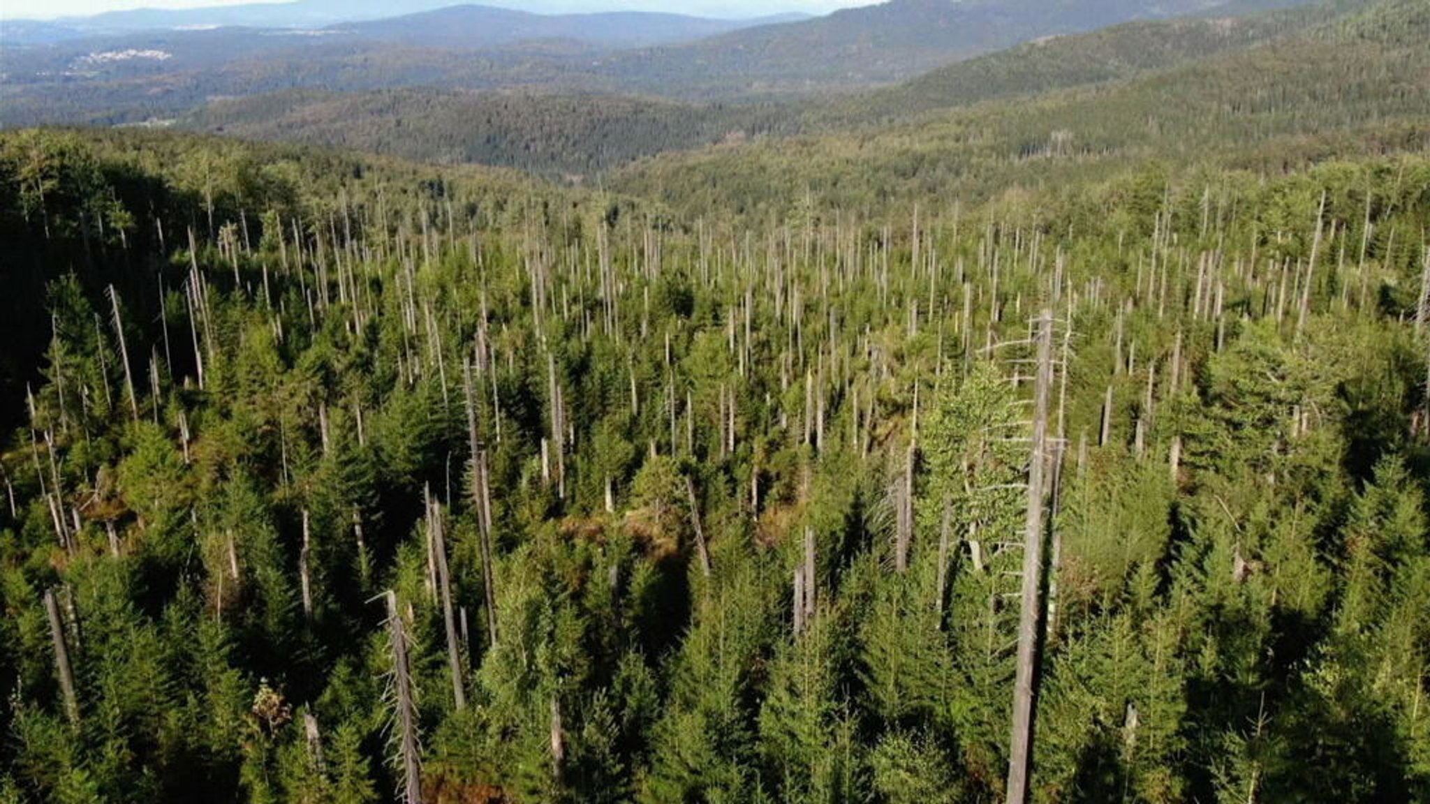 Nationalparkausschuss segnet Randzonenausweitung ab